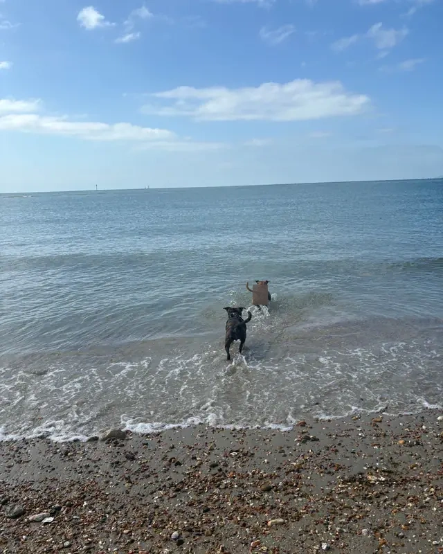 Lucie - Image 8
